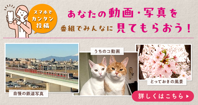 みんな de 投稿　アクセスタイム