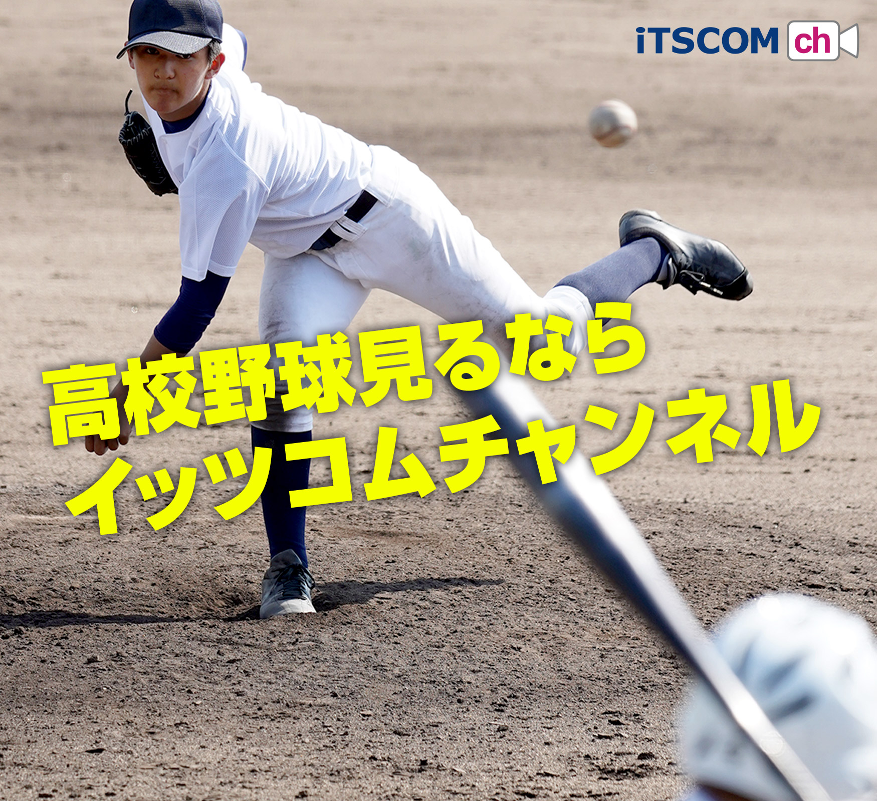 第105回全国高等学校野球選手権大会 東京・神奈川大会