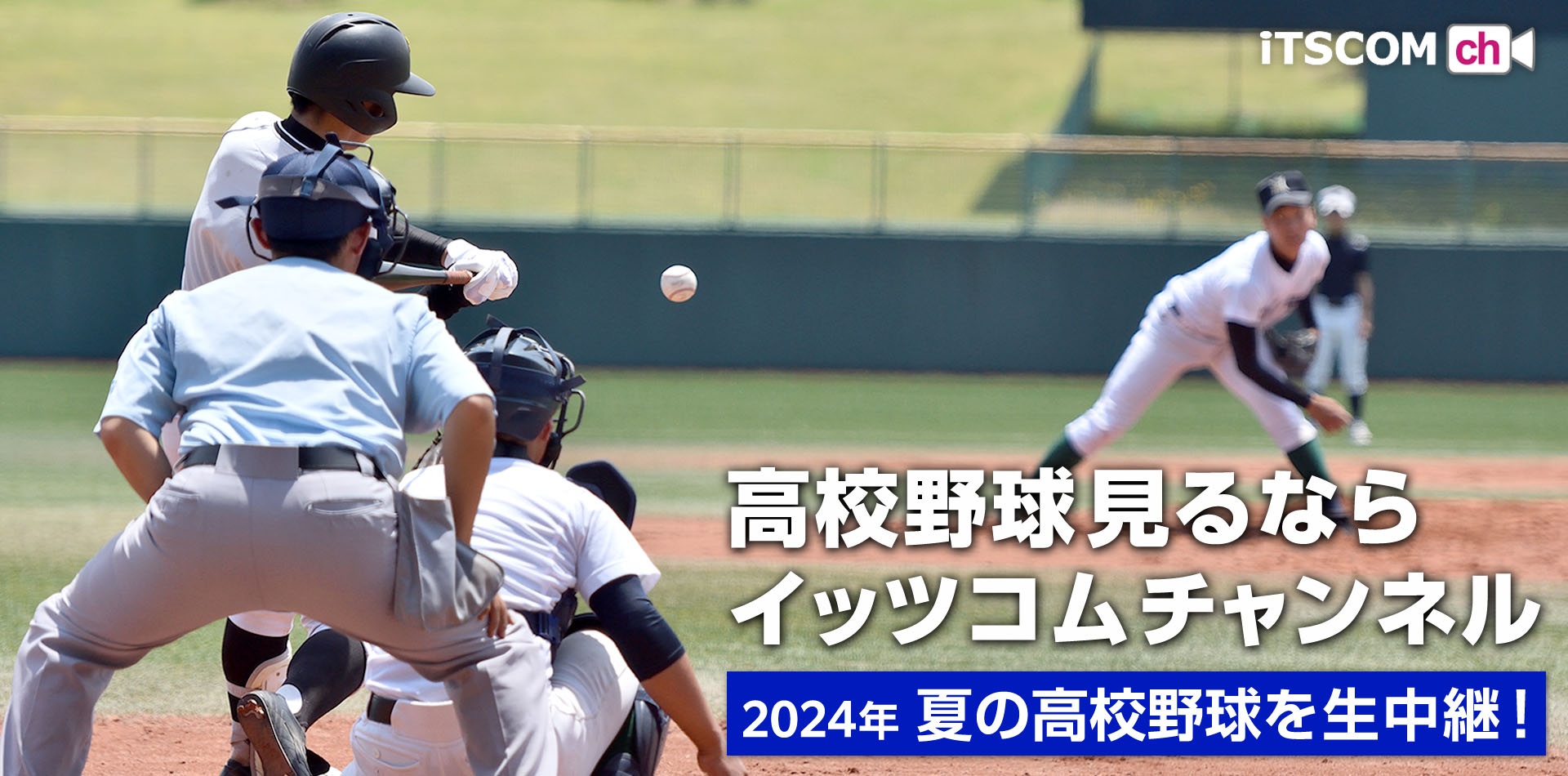 第106回全国高等学校野球選手権大会 東京・神奈川大会