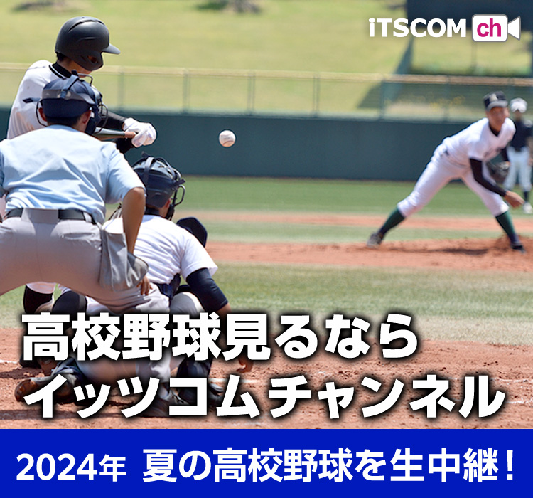 第106回全国高等学校野球選手権大会 東京・神奈川大会